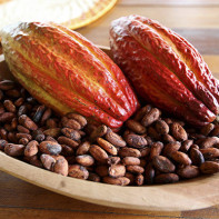 Photo de fèves de cacao 4