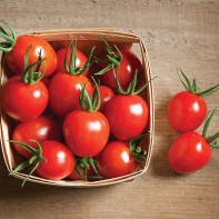 Photo de Cherry Tomatoes 2