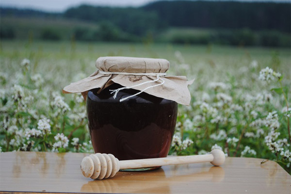 Léčivé vlastnosti pohankového medu