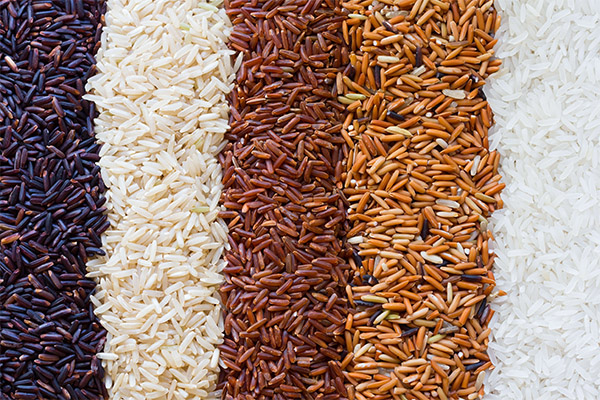 Intressanta fakta om ris