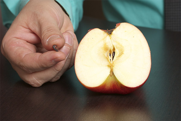 Comment utiliser les graines de pomme