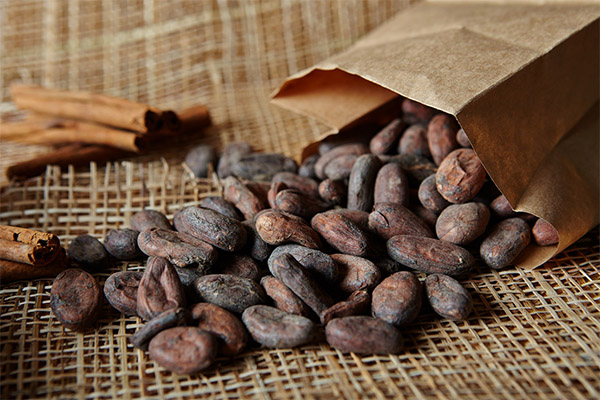 Comment choisir et conserver les fèves de cacao