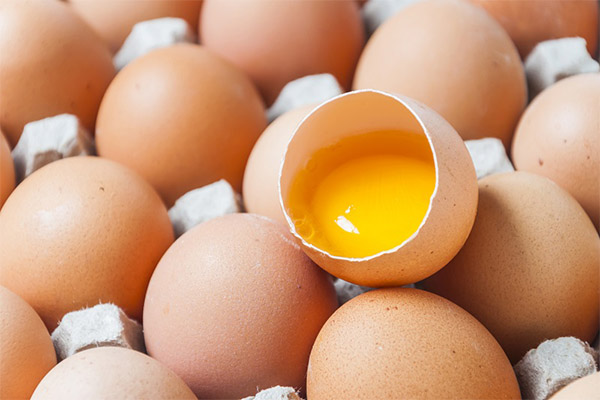 Skladovatelnost syrových vajec