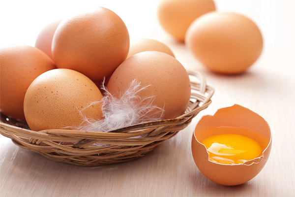 Syrová vejce v medicíně