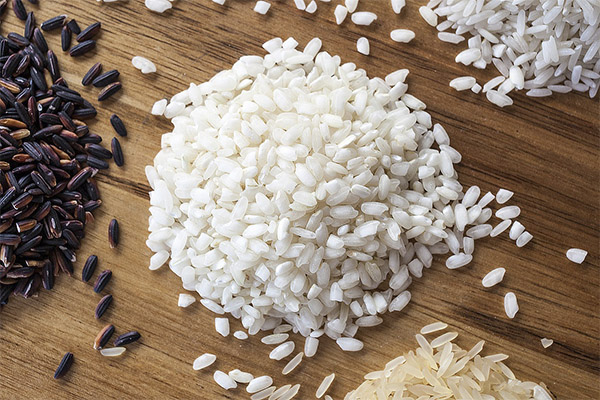 Intressanta fakta om ris