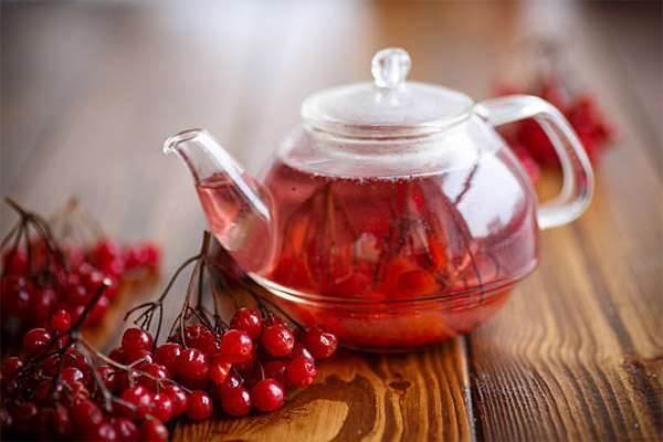 Comment faire du thé à partir de viburnum