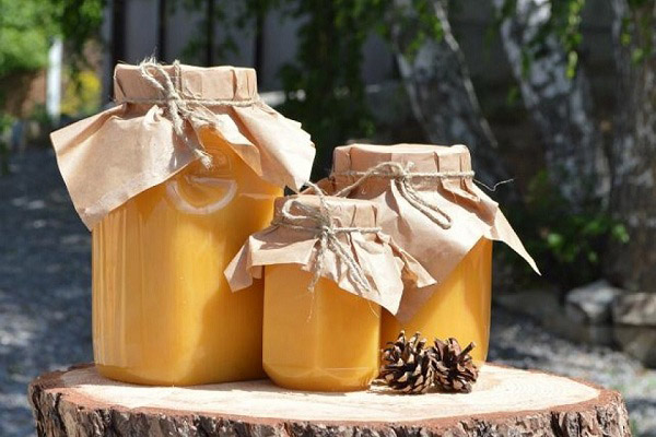 Comment choisir et conserver le miel de la forêt