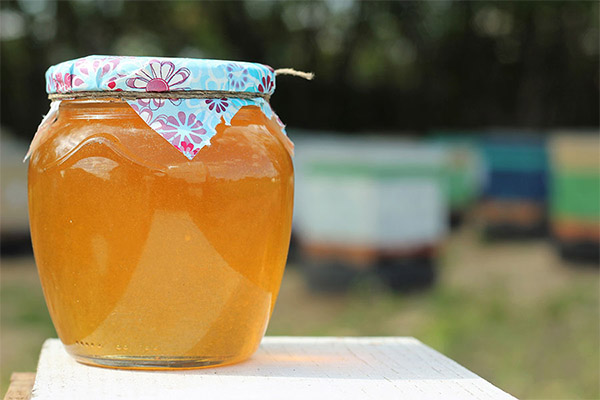 Comment choisir et conserver le miel de tilleul