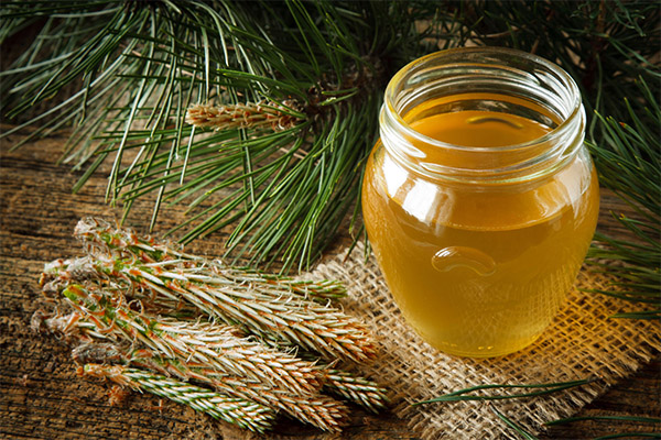 Les avantages et les inconvénients du miel de forêt
