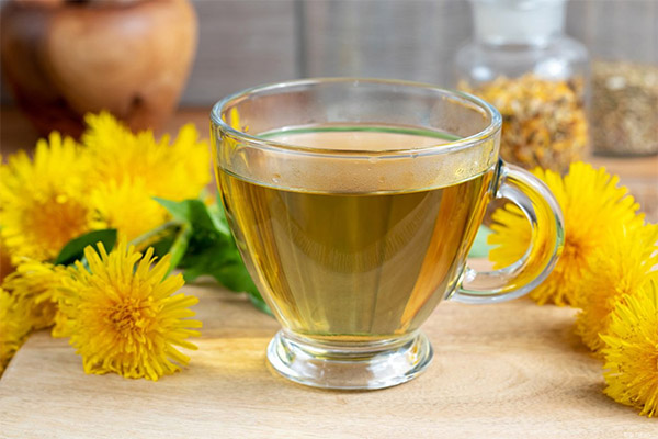 Les avantages et les inconvénients du thé de pissenlit
