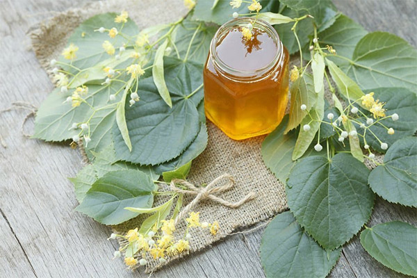 Recettes de médecine traditionnelle au miel de tilleul