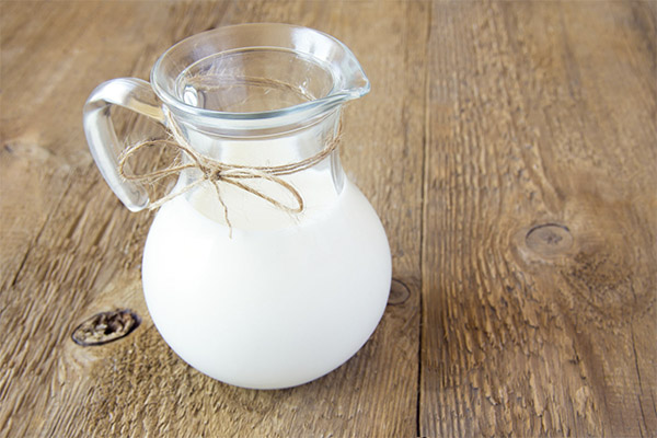 ما هي منتجات الحليب المخمرة التي يمكن ولا يجب استخدامها في التهاب المرارة