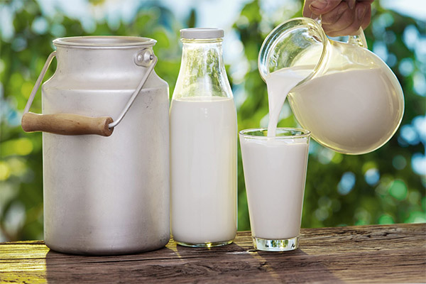 ما هي منتجات الحليب المخمر التي يمكن ولا يجب استخدامها للإمساك