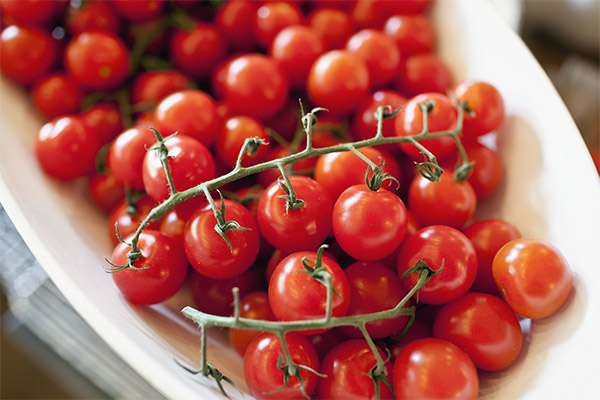 Faits intéressants sur les tomates cerises