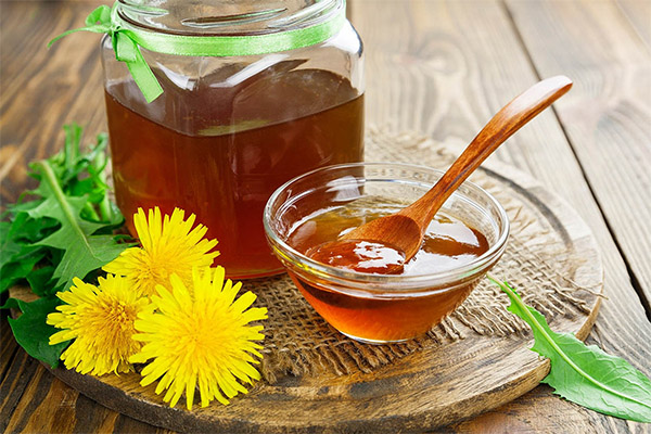 Comment prendre du miel de pissenlits