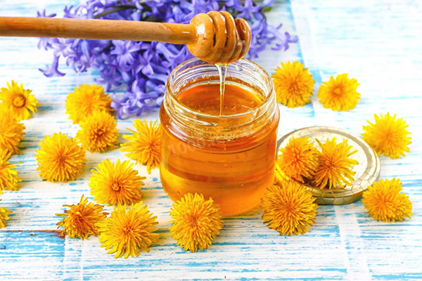 Propriétés utiles du miel de pissenlit