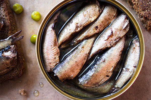 Fördelarna och skadan med konserverade sardiner