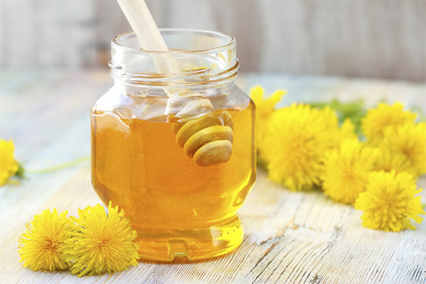 Les avantages et les inconvénients du miel de pissenlit