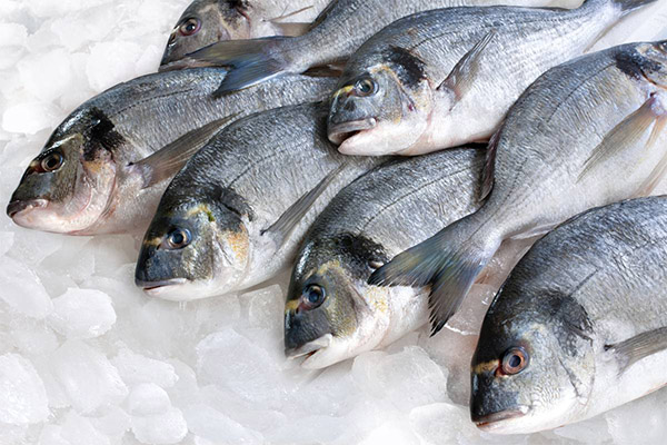 Comment décongeler le poisson correctement et rapidement