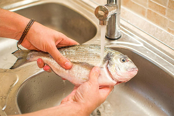 Comment décongeler du poisson dans l'eau